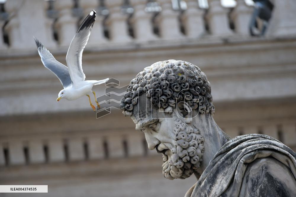 Behind The Scenes Of The Vatican