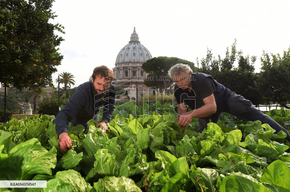 Behind The Scenes Of The Vatican