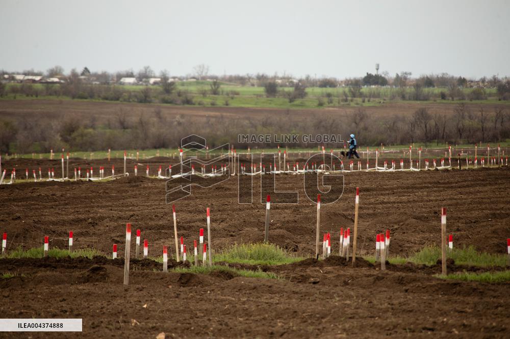 Demining in Mykolaiv region