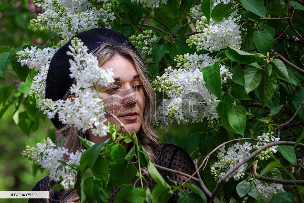 Lilacs bloom at Kyiv's Hryshko Botanical Garden