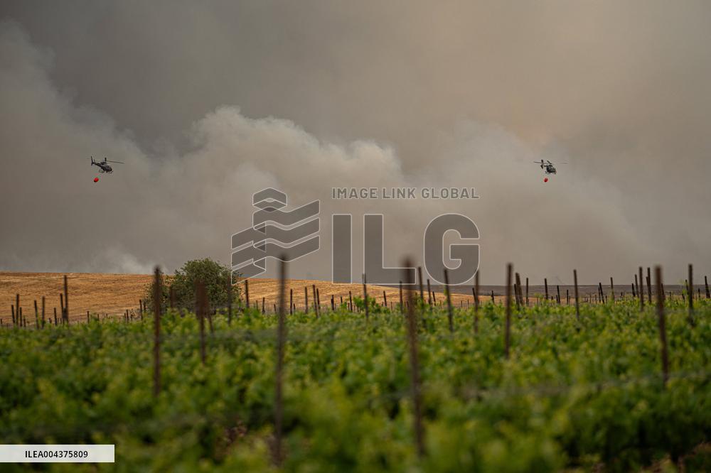 Wildfires Rage Outside Jerusalem - Israel