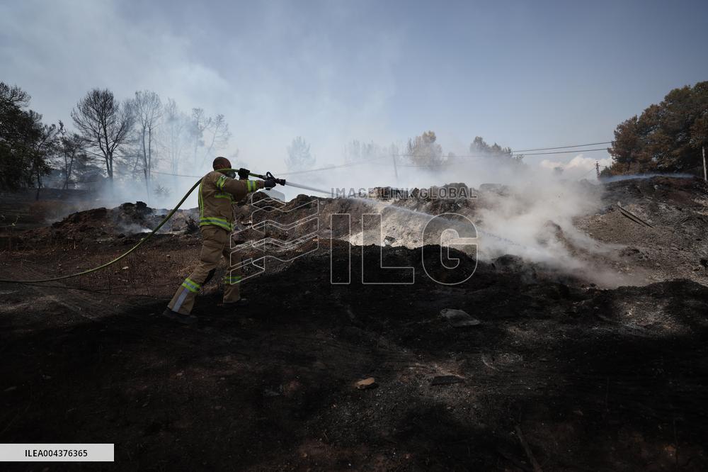 Wildfires Rage Outside Jerusalem - Israel