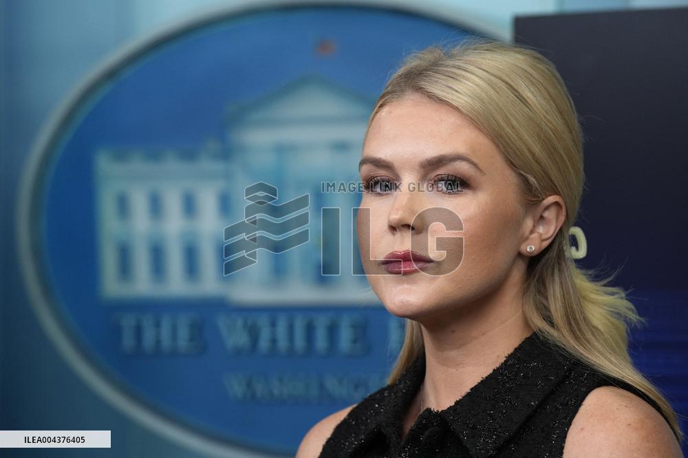 White House press briefing - Washington