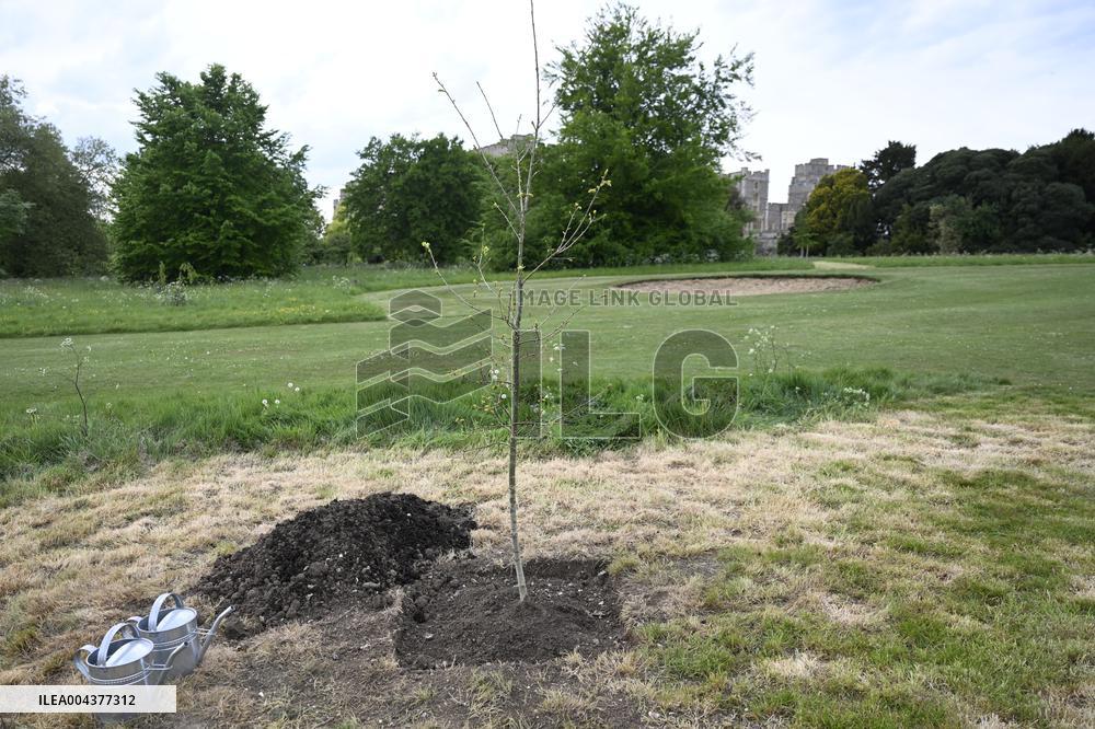 ROYAL MEETING WINDSOR