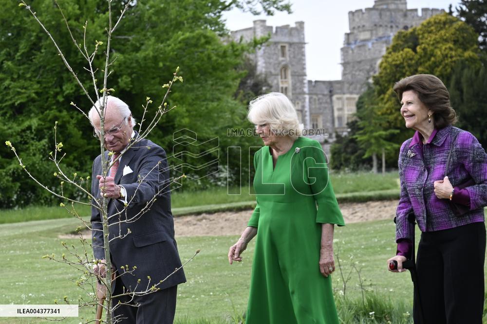 ROYAL MEETING WINDSOR
