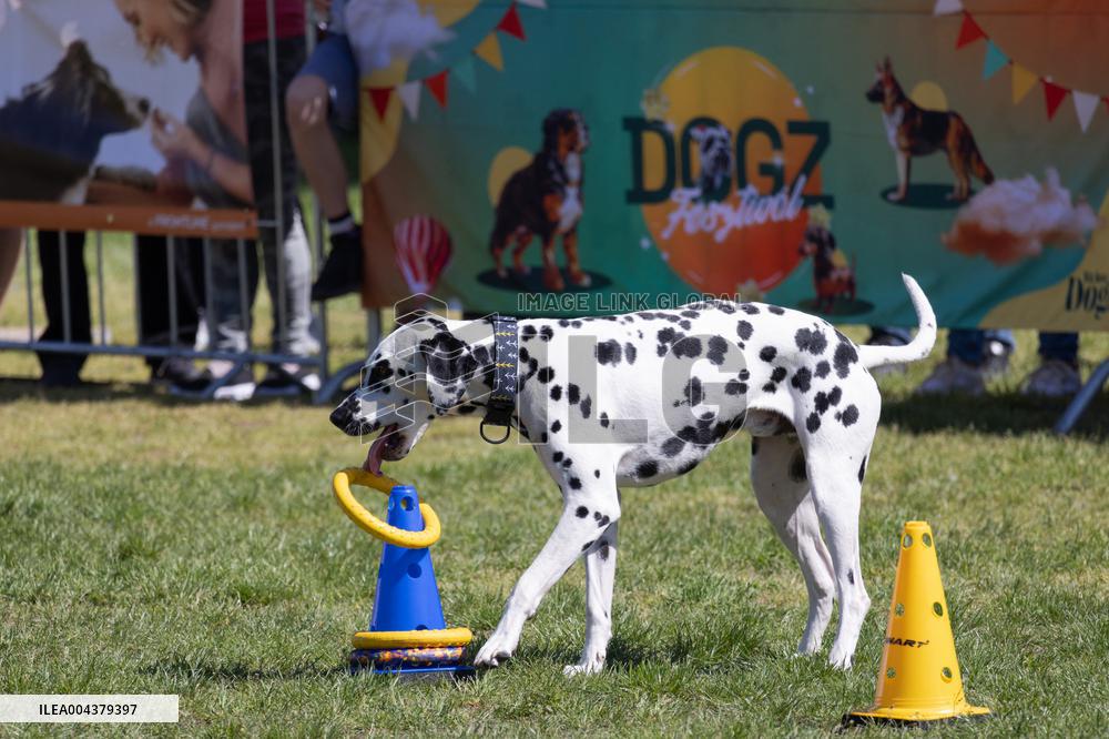 Dog Festival - Budapest