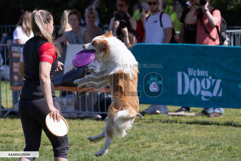 Dog Festival - Budapest