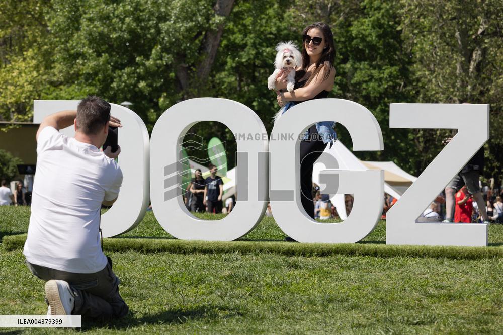 Dog Festival - Budapest