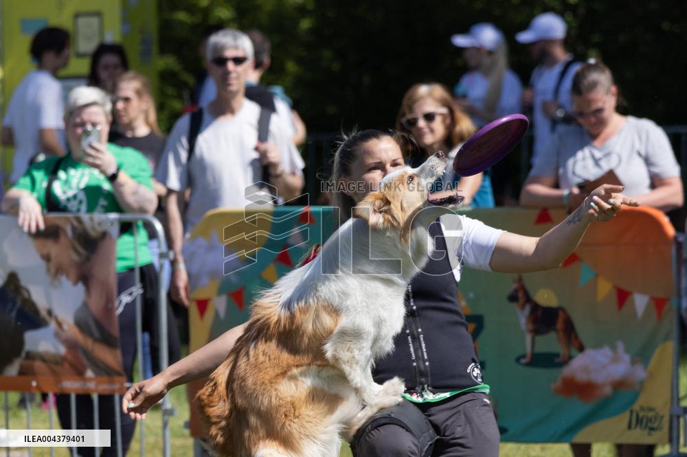 Dog Festival - Budapest