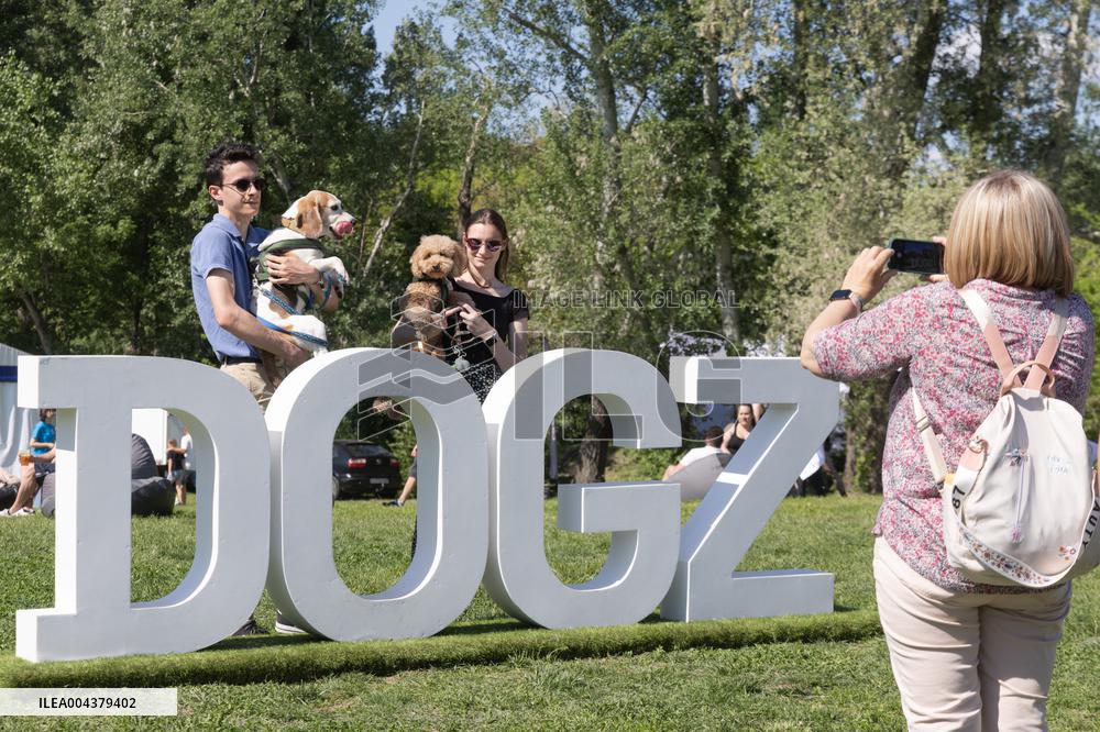 Dog Festival - Budapest