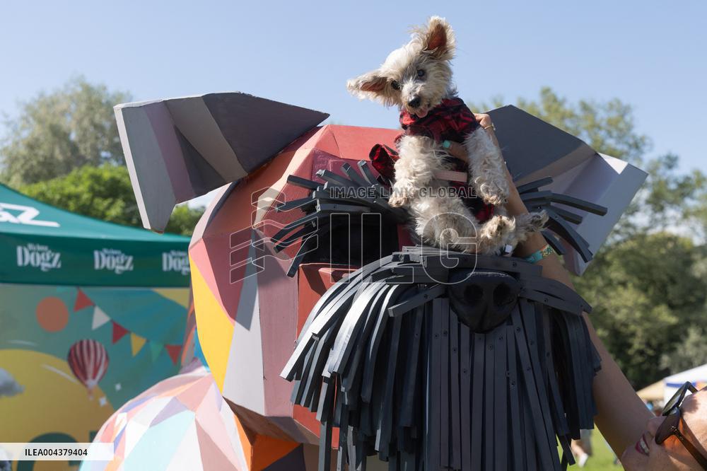 Dog Festival - Budapest
