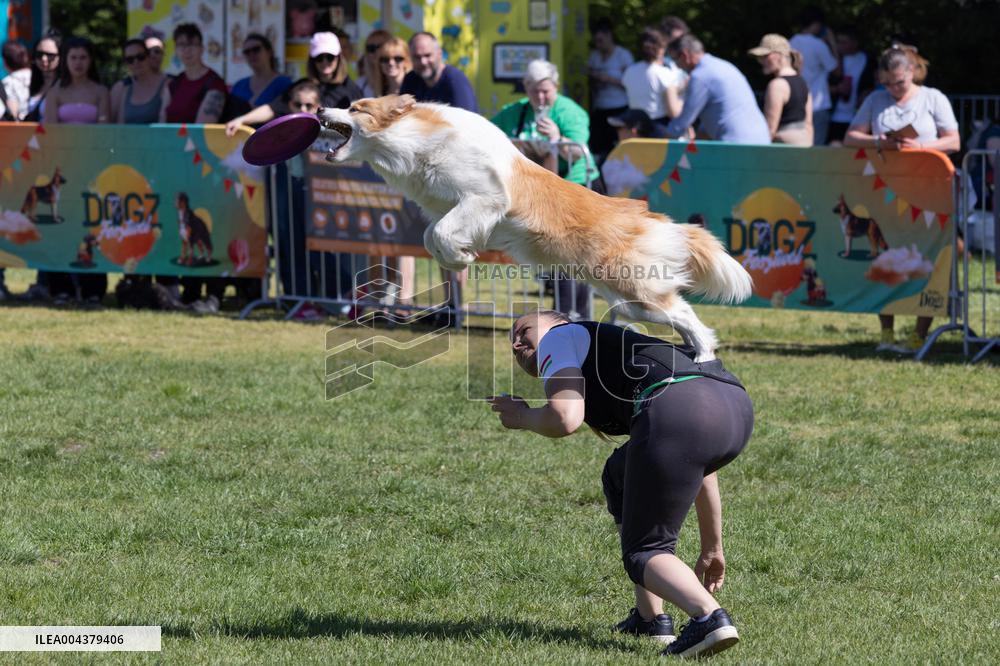 Dog Festival - Budapest