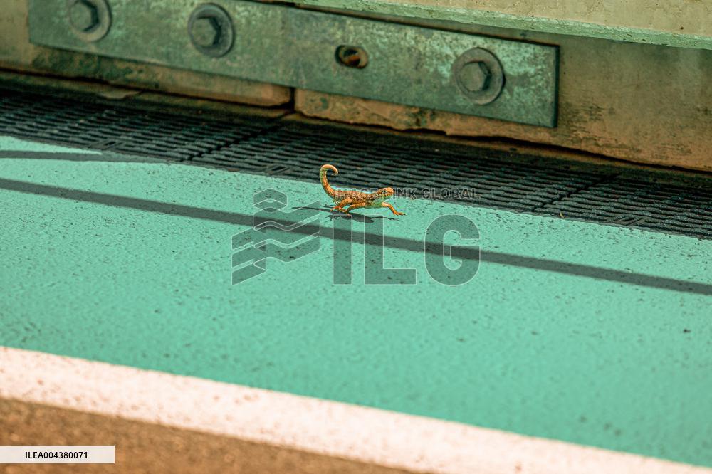 MOTORI - Formula 1 - Crypto.com Miami Grand Prix 2025 - Practice 1 and Sprint Qualifying