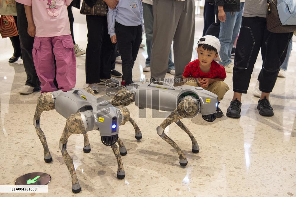 Robot Dog