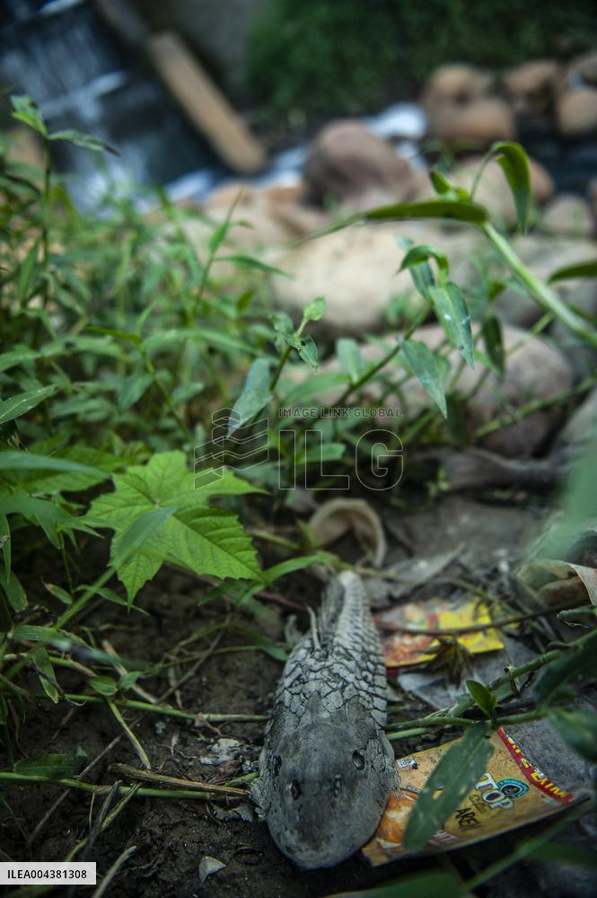 Deli River Pollution in Medan - Indonesia