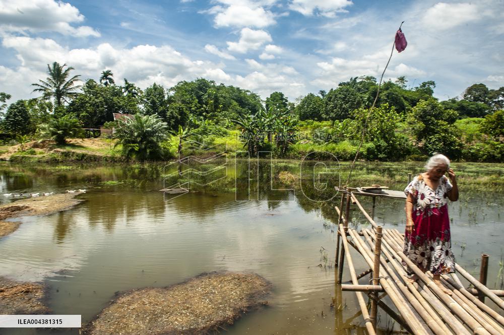 Carp Cultivation - Indonesia