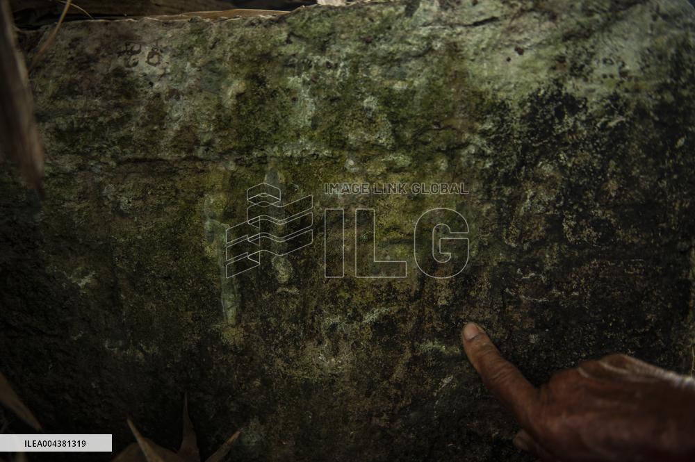 Carp Cultivation - Indonesia