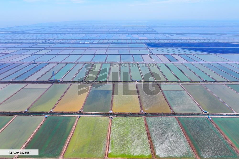 Xiangshui Salt Field in Yancheng
