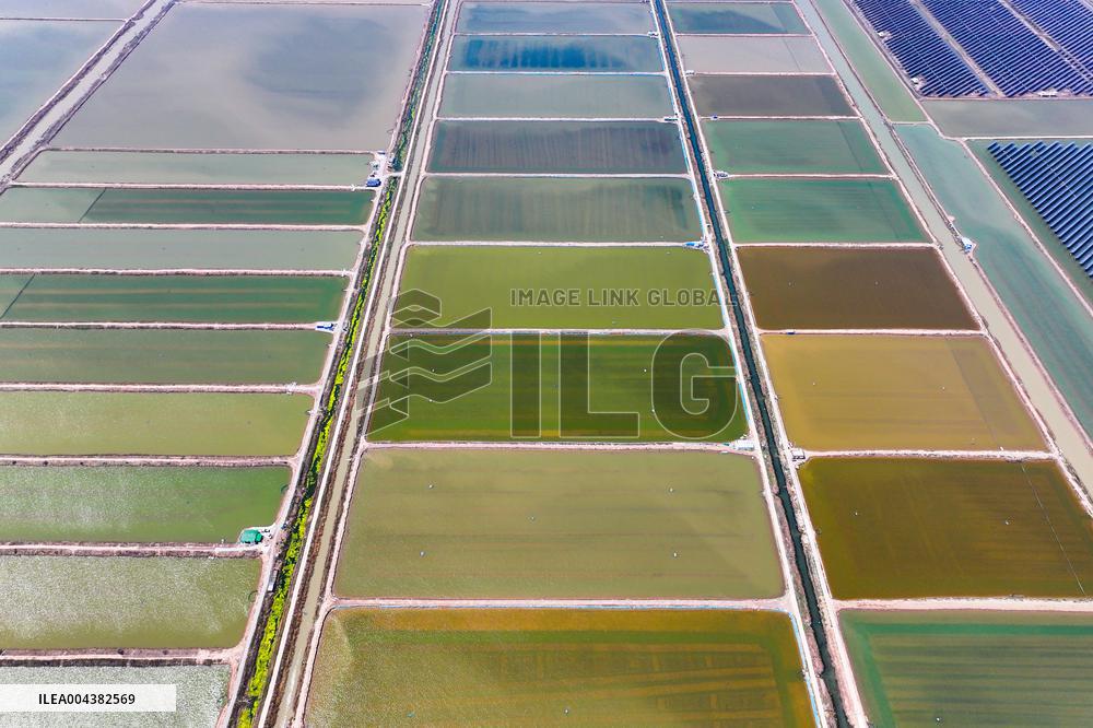 Xiangshui Salt Field in Yancheng