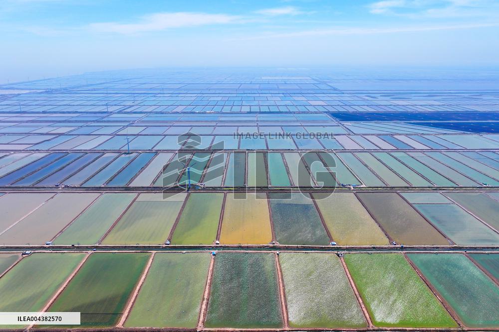 Xiangshui Salt Field in Yancheng