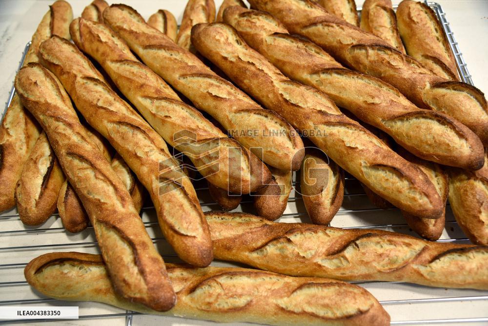 Illustration Artisanal Bakery - Paris