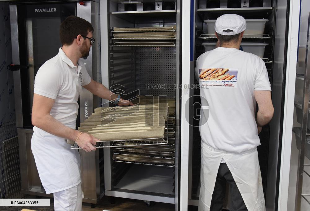 Illustration Artisanal Bakery - Paris