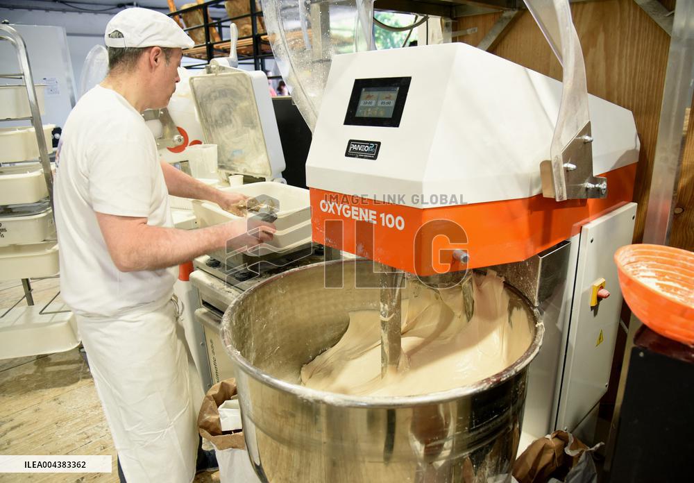 Illustration Artisanal Bakery - Paris