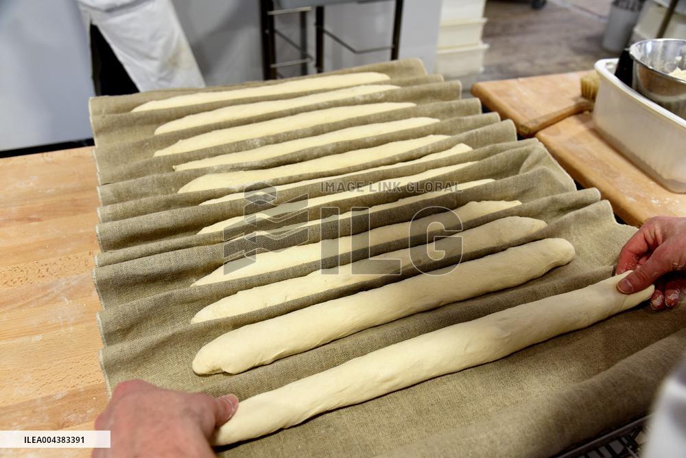 Illustration Artisanal Bakery - Paris