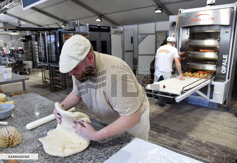 Illustration Artisanal Bakery - Paris