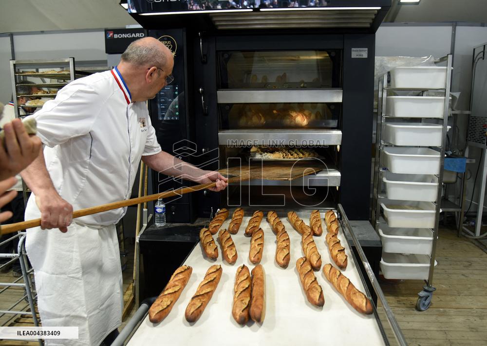 Illustration Artisanal Bakery - Paris