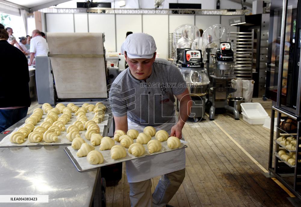 Illustration Artisanal Bakery - Paris