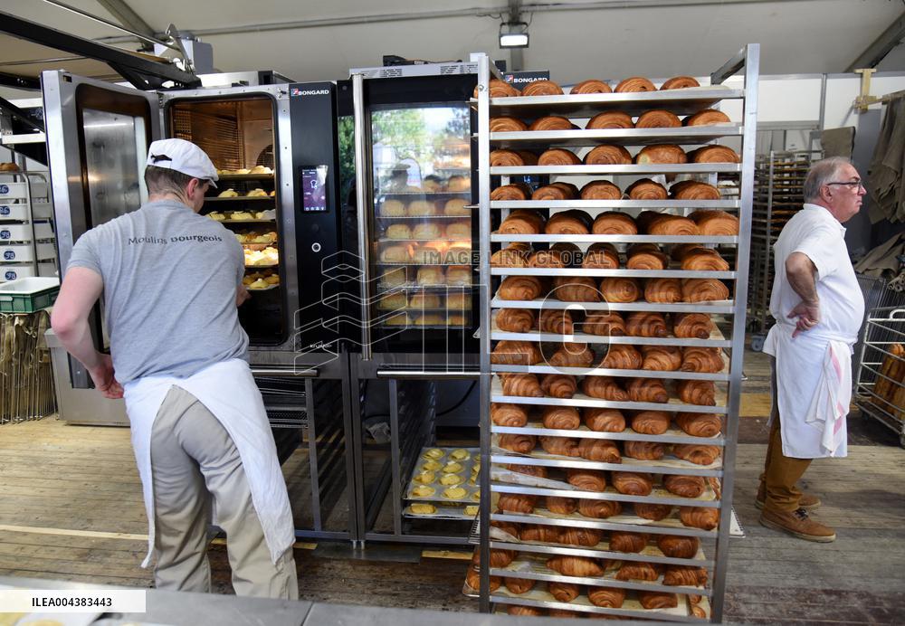 Illustration Artisanal Bakery - Paris