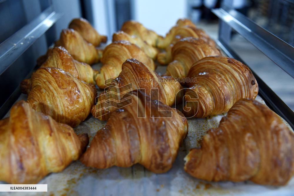 Illustration Artisanal Bakery - Paris