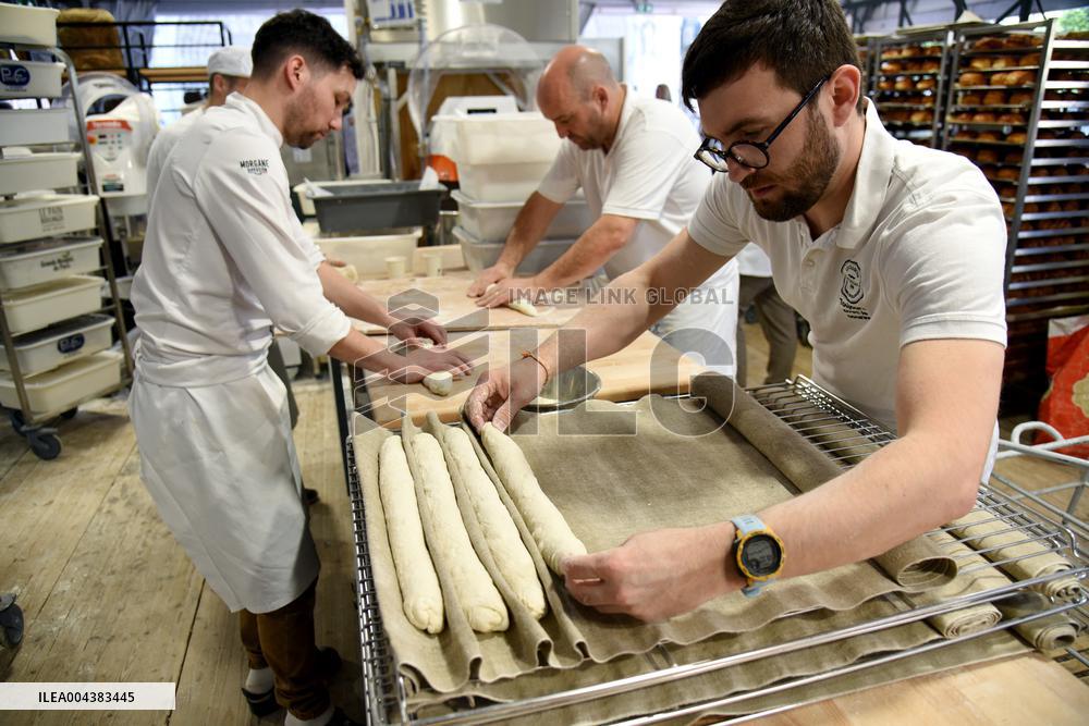 Illustration Artisanal Bakery - Paris