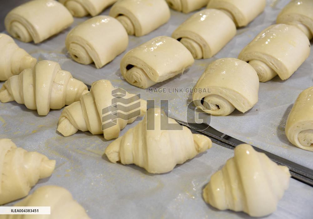 Illustration Artisanal Bakery - Paris