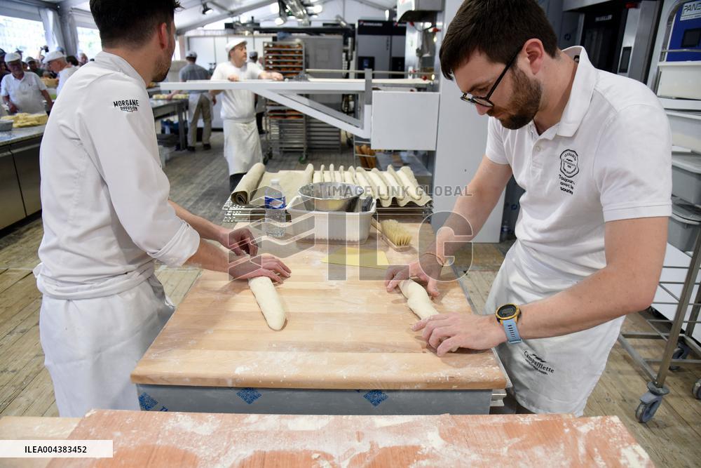 Illustration Artisanal Bakery - Paris