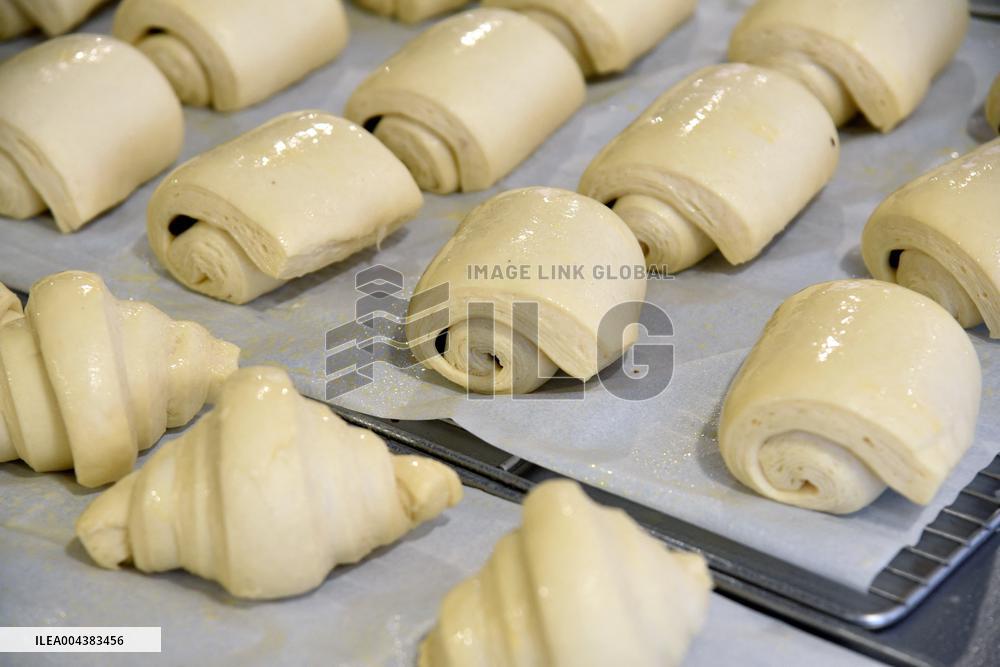 Illustration Artisanal Bakery - Paris