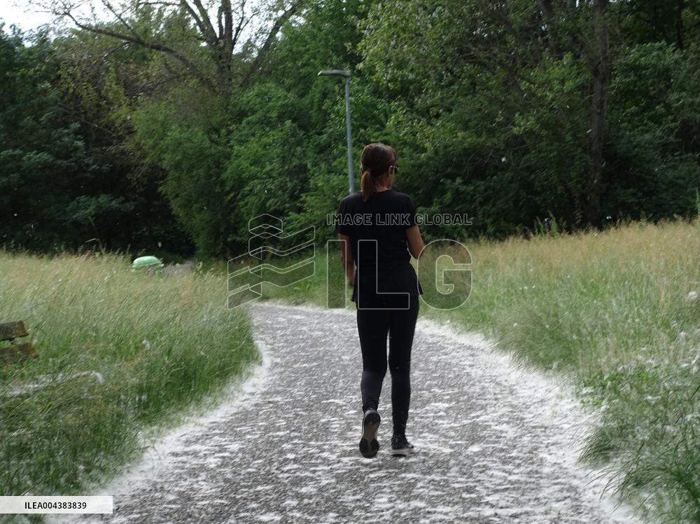 The Pollen Season Has Begun - Italy