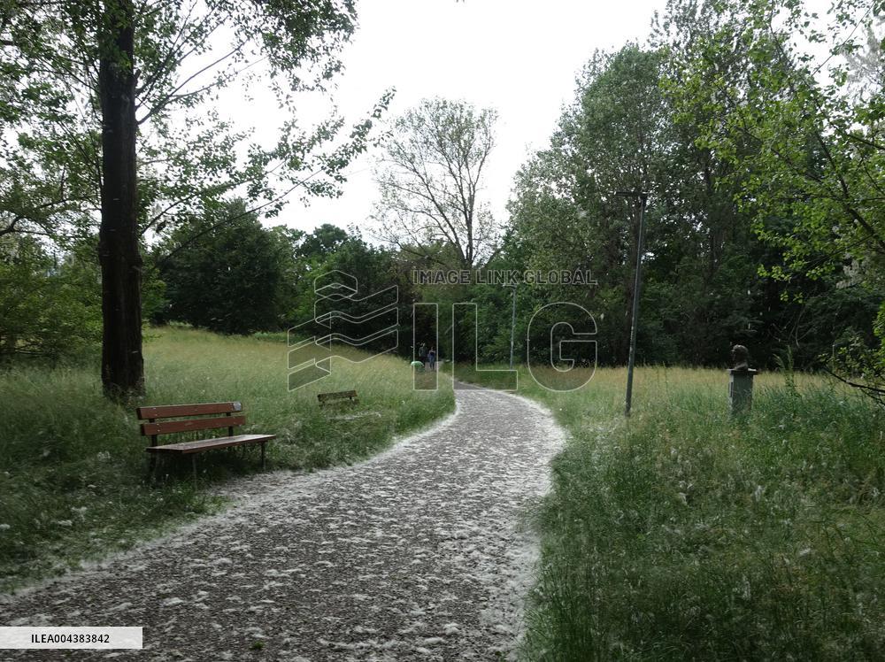 The Pollen Season Has Begun - Italy