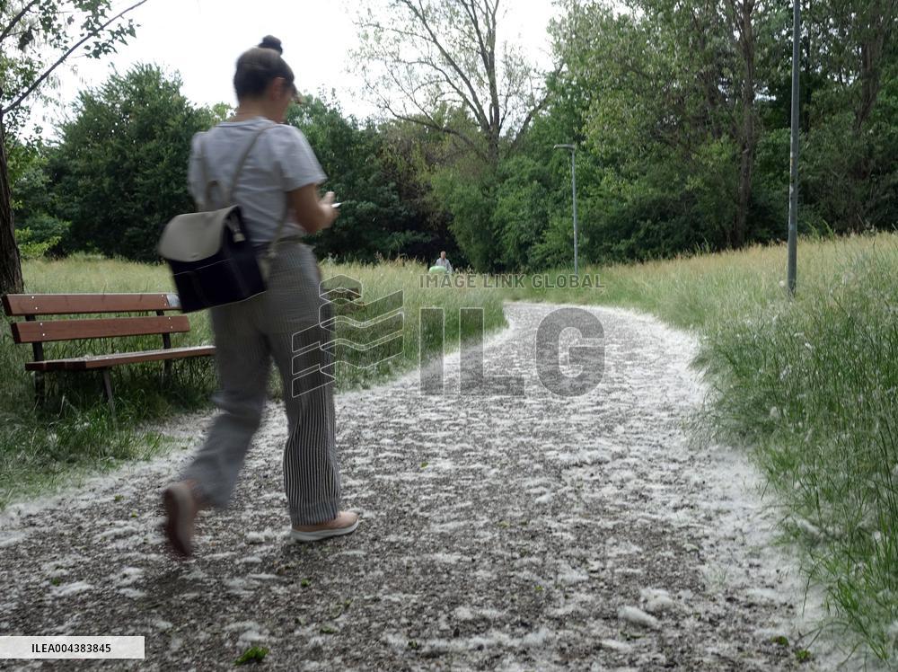The Pollen Season Has Begun - Italy