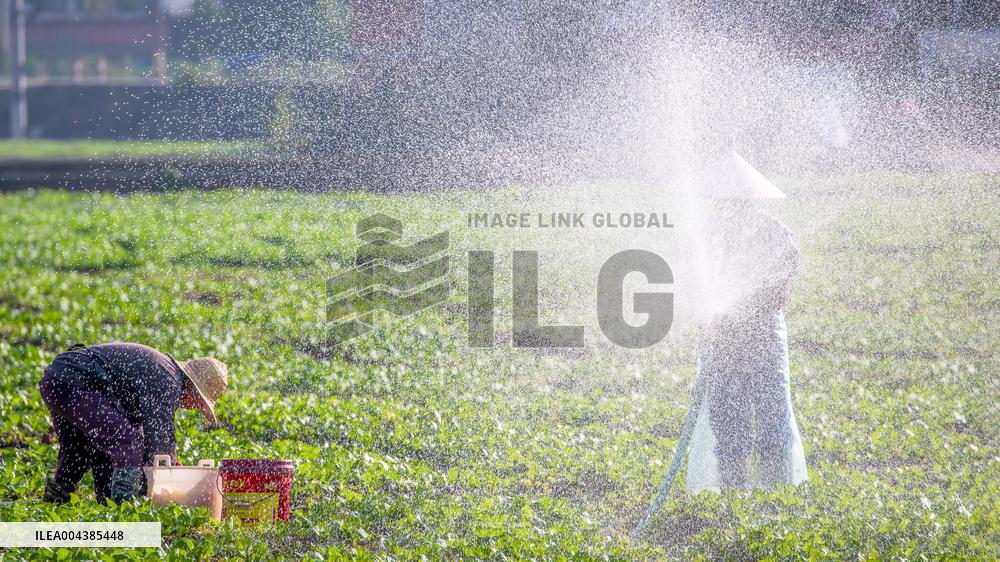 Beginning of Summer Season