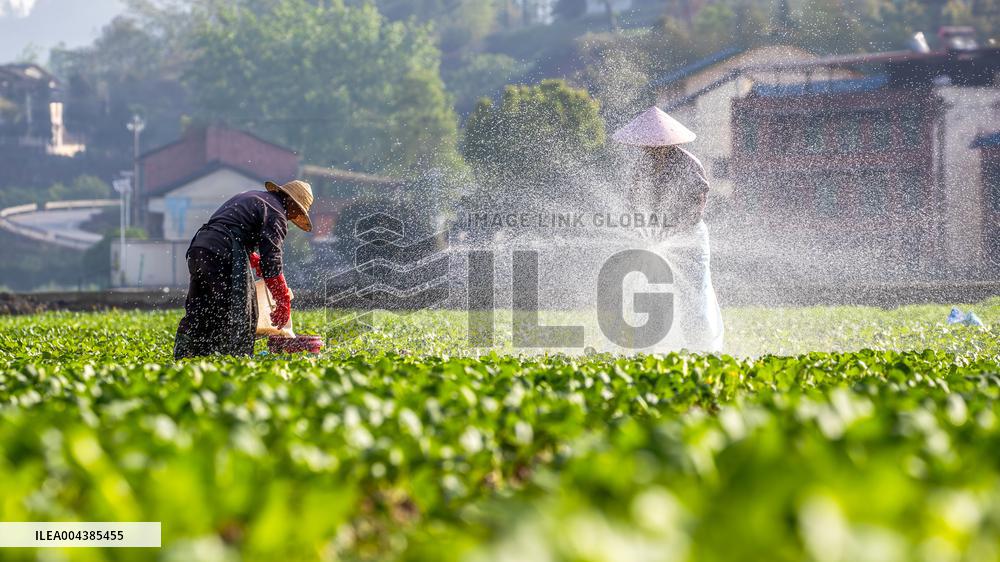 Beginning of Summer Season