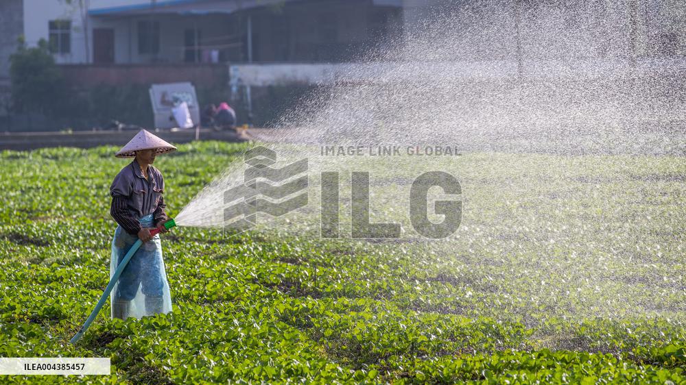 Beginning of Summer Season