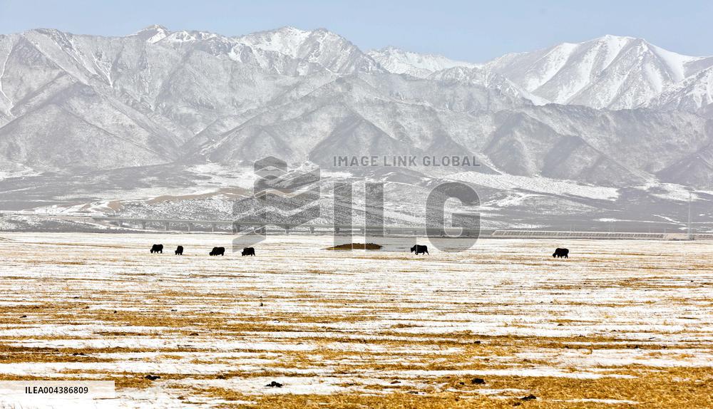 Snowfall in Zhangye