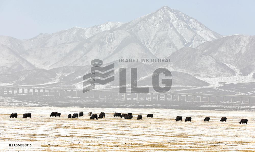 Snowfall in Zhangye