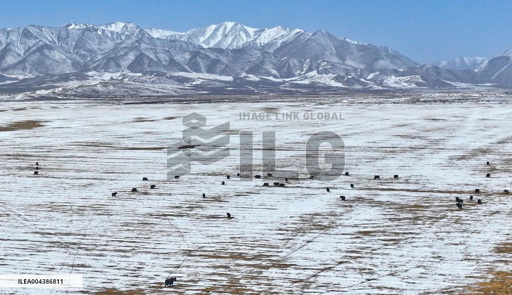 Snowfall in Zhangye