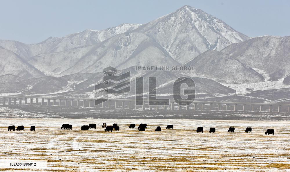 Snowfall in Zhangye