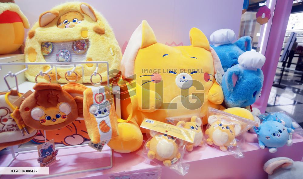 Chinese Youth Goods Economy