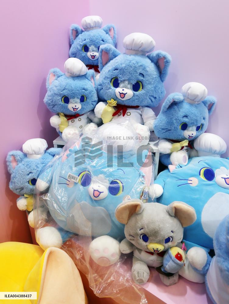 Chinese Youth Goods Economy