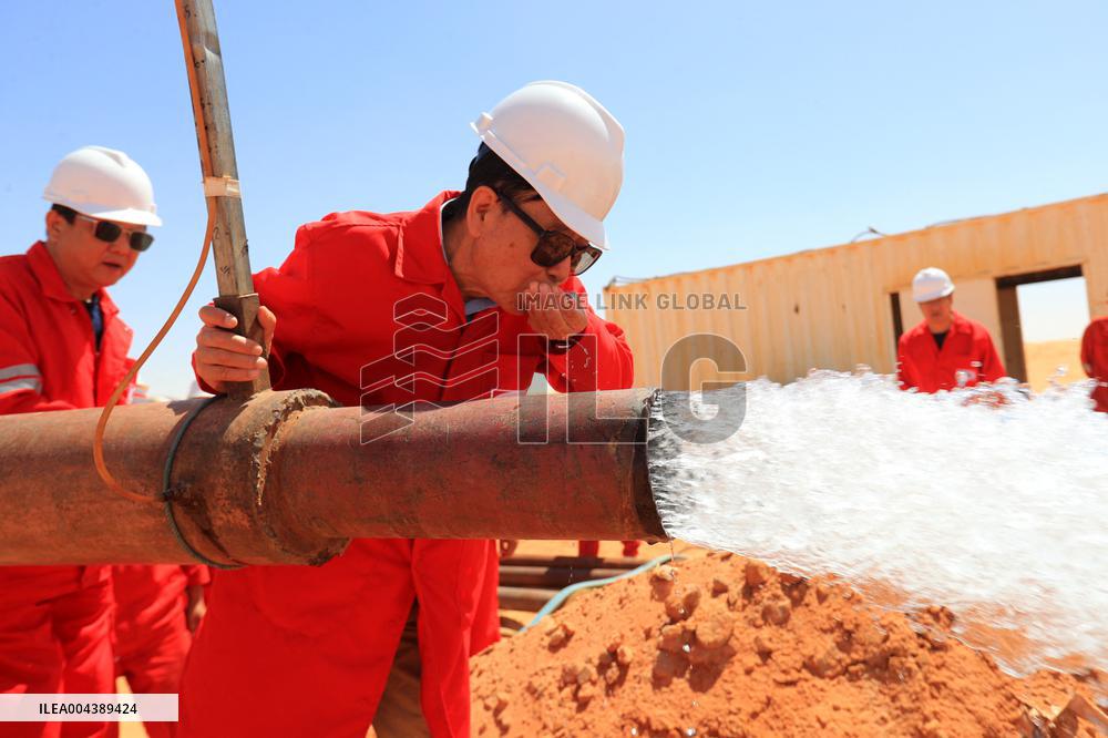 A Farm In The Desert Of New Valley Governorate - Cairo